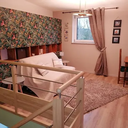 Villa En Bois Recente Avec Jardin, Wifi A 800m Du Centre De - Ref 668